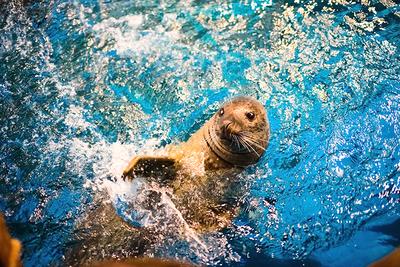 青岛自驾游攻略 青岛自驾游最佳线路 青岛周边自驾游攻略