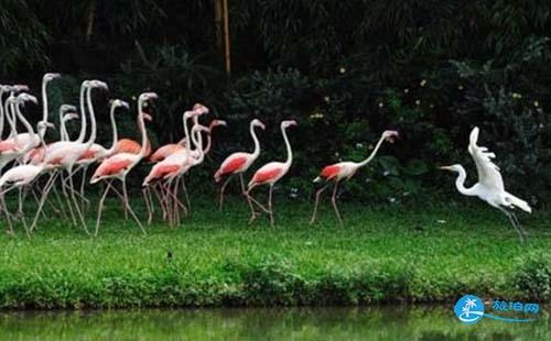 2018广州自由行旅游攻略  广州自助游攻略