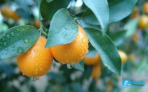 2017宁波旅游景点  宁波旅游攻略