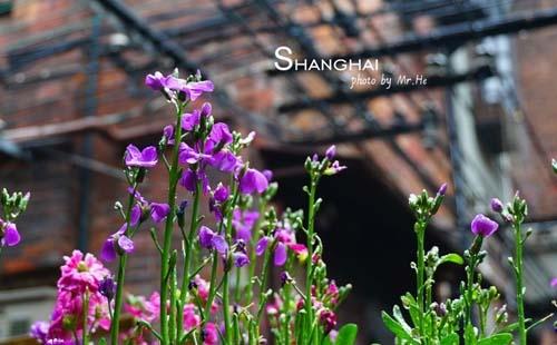 2018上海自助游攻略 2018年上海旅游景点+美食指南