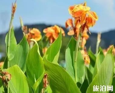 海南游玩最佳线路 海南环岛景点介绍 海南游玩最佳线路 海南环岛景点介绍