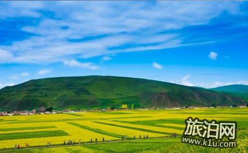 去青海旅行住哪 青海交通攻略2018 去青海旅行住哪 青海交通攻略2018