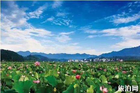 龙游旅游景点有哪些+门票 龙游旅游景点有哪些+门票