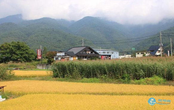 镰仓江之岛一日游攻略路线 镰仓江之岛图片