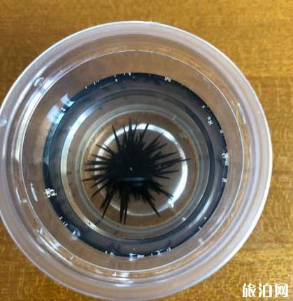 惠州双月湾小星山两日游