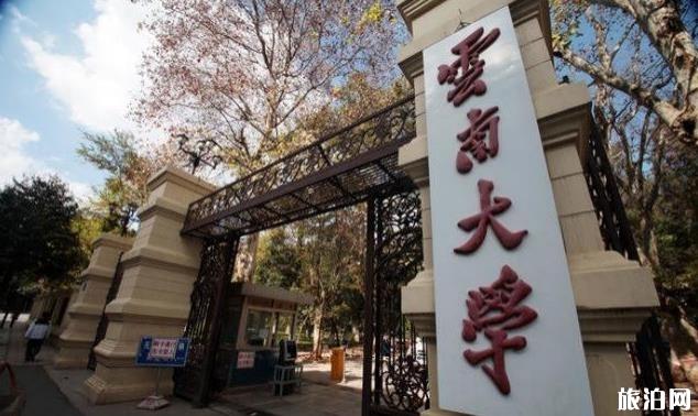 云南有几所一本大学