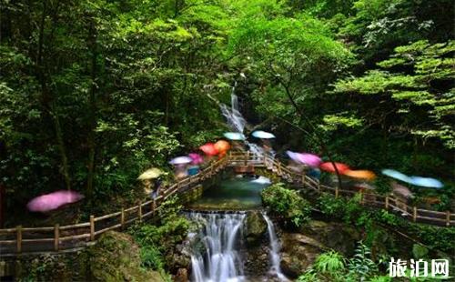 重庆黑山谷原始森林一日游攻略