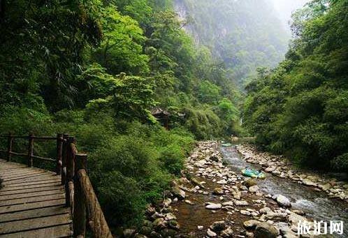 重庆黑山谷原始森林一日游攻略