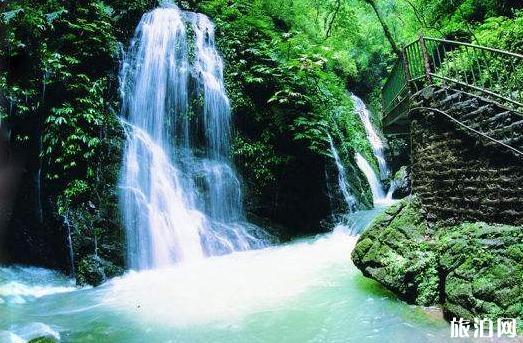 重庆黑山谷原始森林一日游攻略